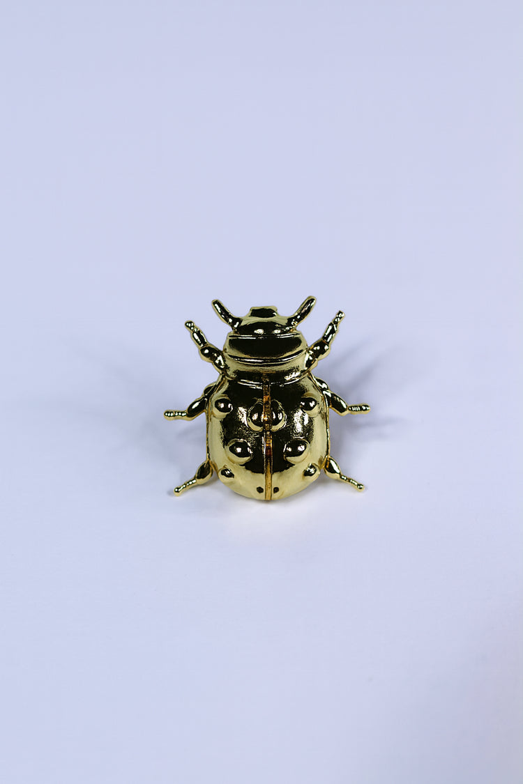 Beetle Brooch