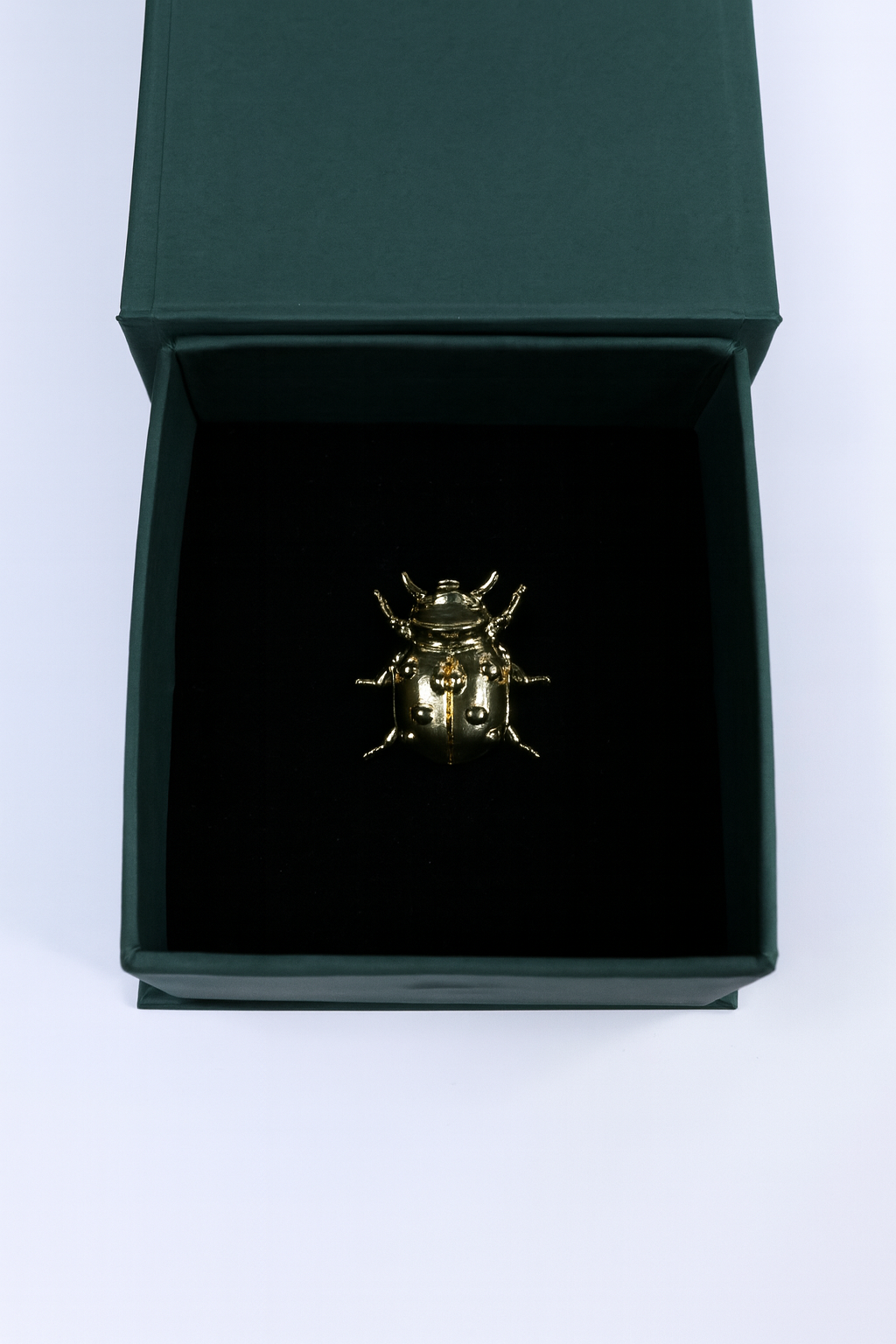 Beetle Brooch