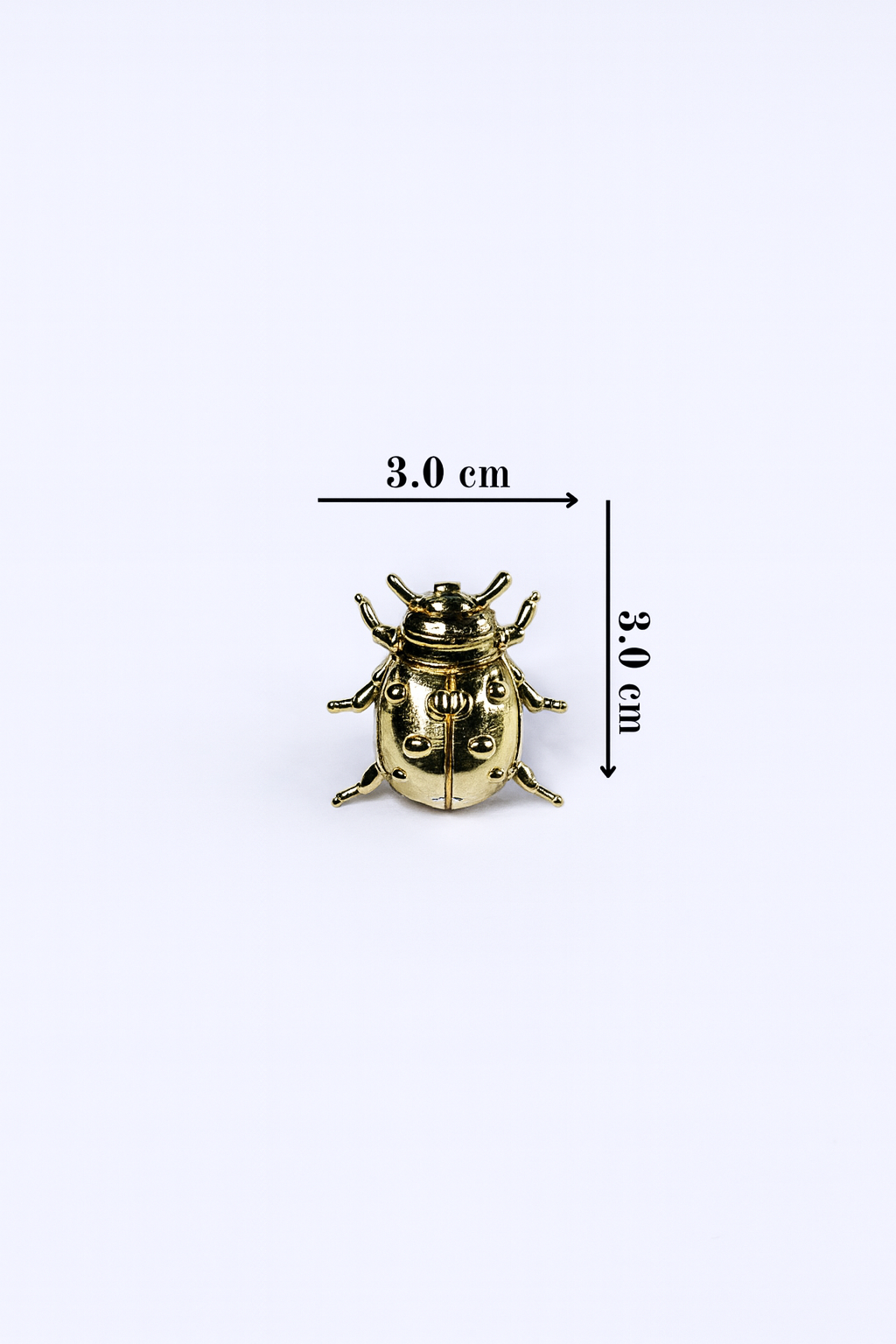 Beetle Brooch