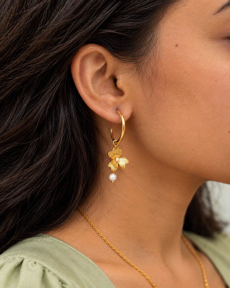 Aboli Hoops