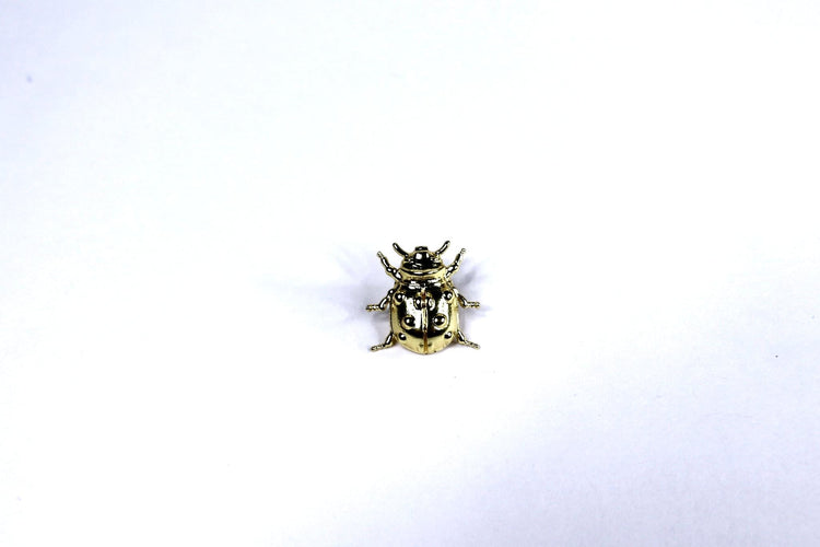 Little Beetle Brooch